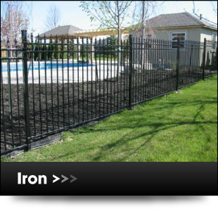 Iron